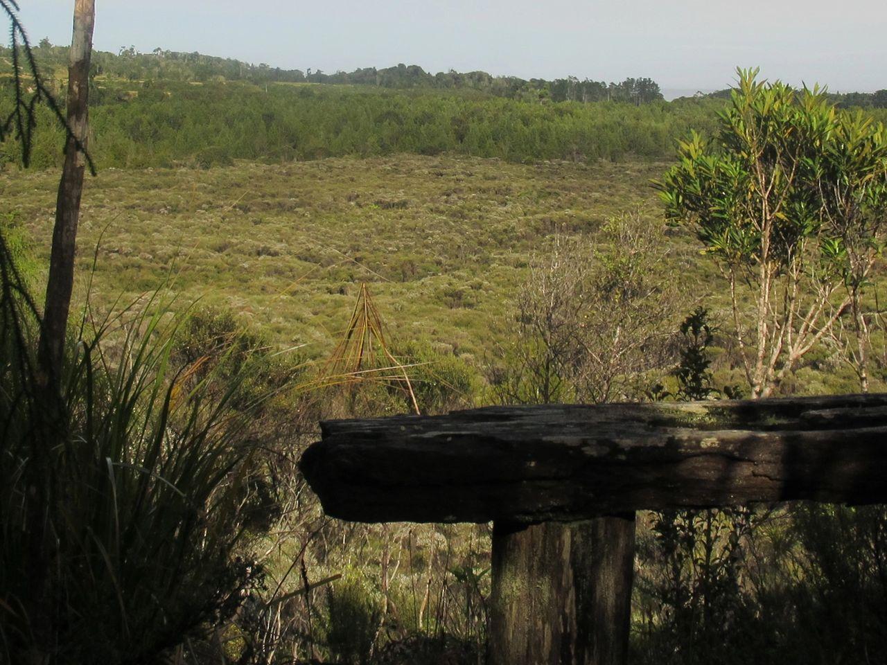 Beaconstone - Off Grid Retreat Villa Charleston Bagian luar foto